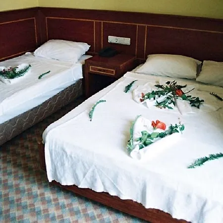 Hotel Free 3*